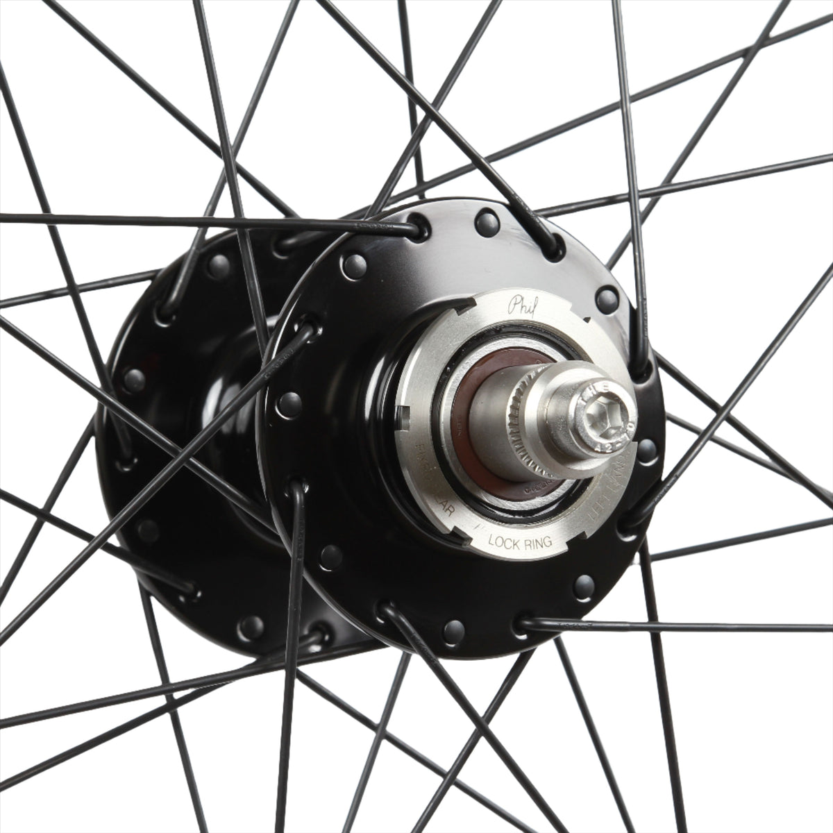 IMG_6363_1200x1200.jpg?v=