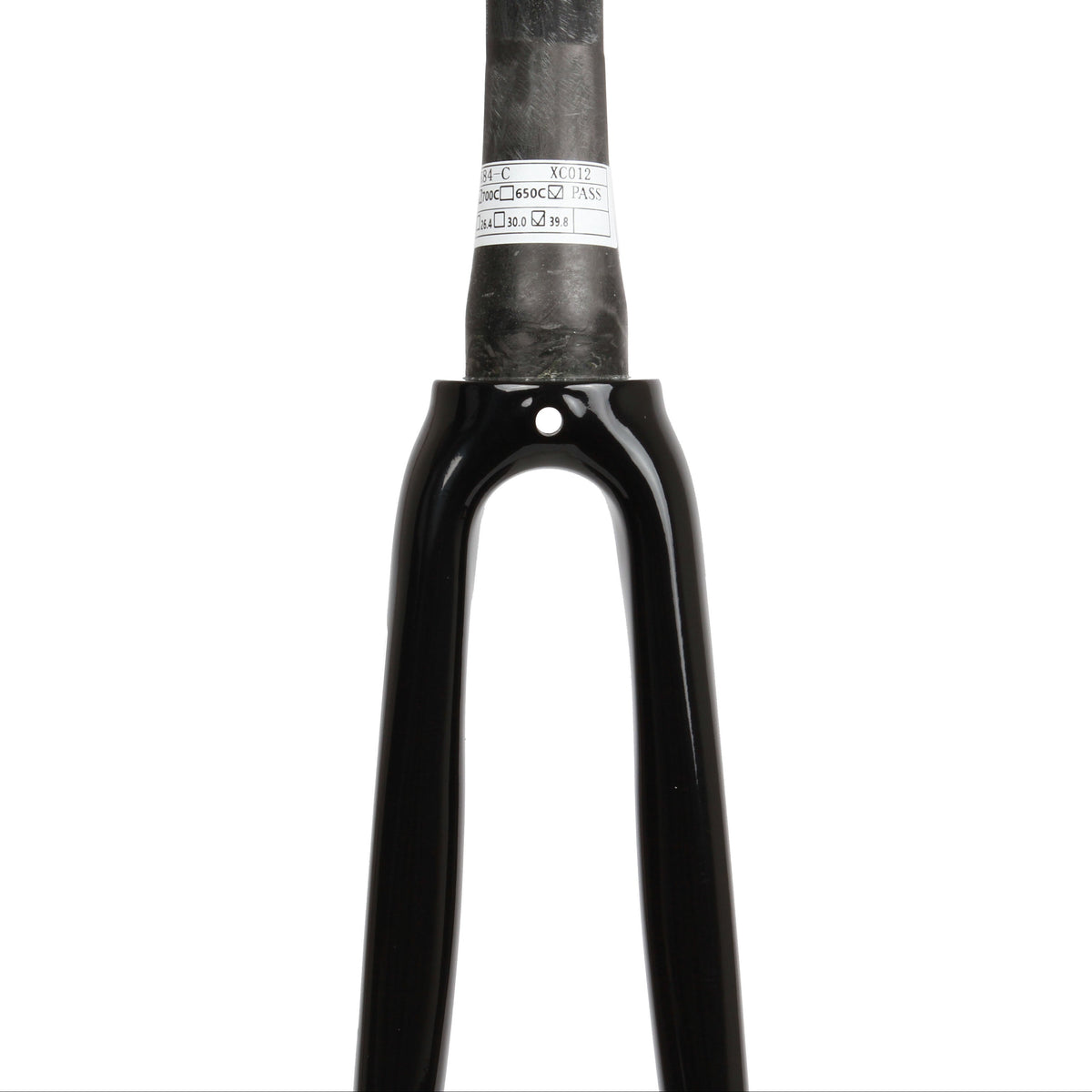 Alpina carbon fixed gear track bike fork