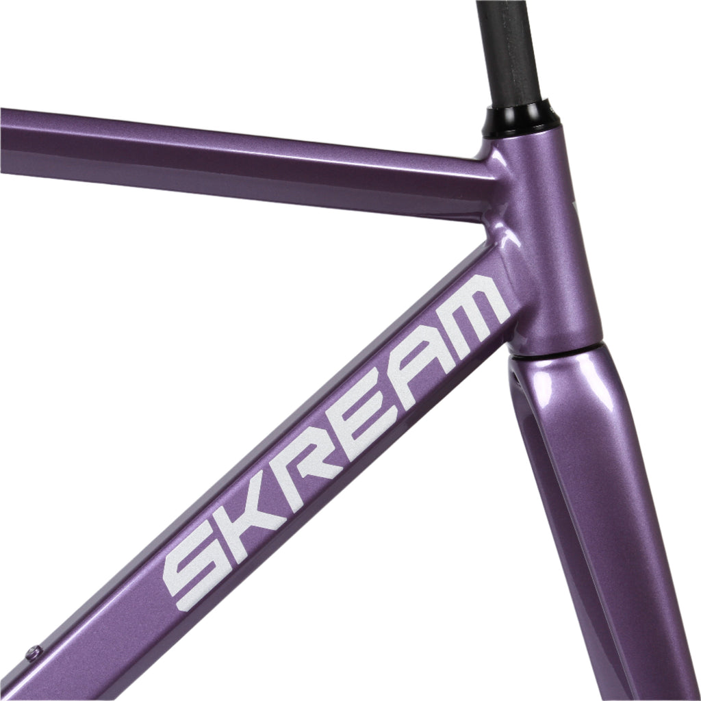 Skream Anodiz frameset - Lavender - Retrogression Fixed Gear