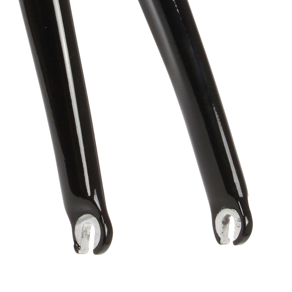 Alpina carbon fixed gear track bike fork
