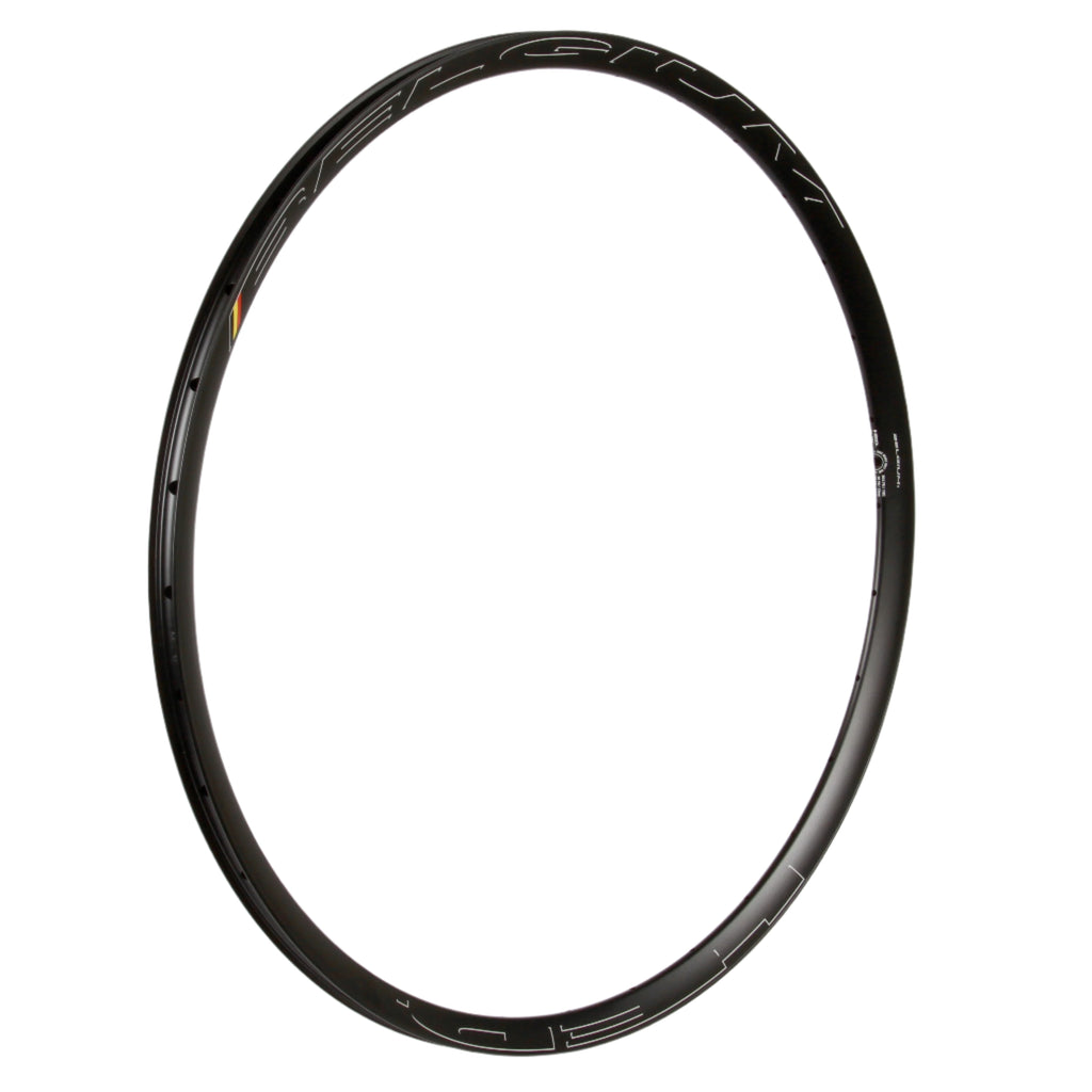 Belgium R Rim HED Belgium R rim