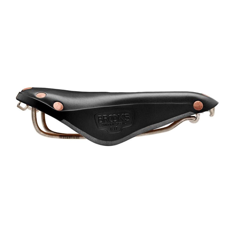 Brooks B17 Special Titanium saddle